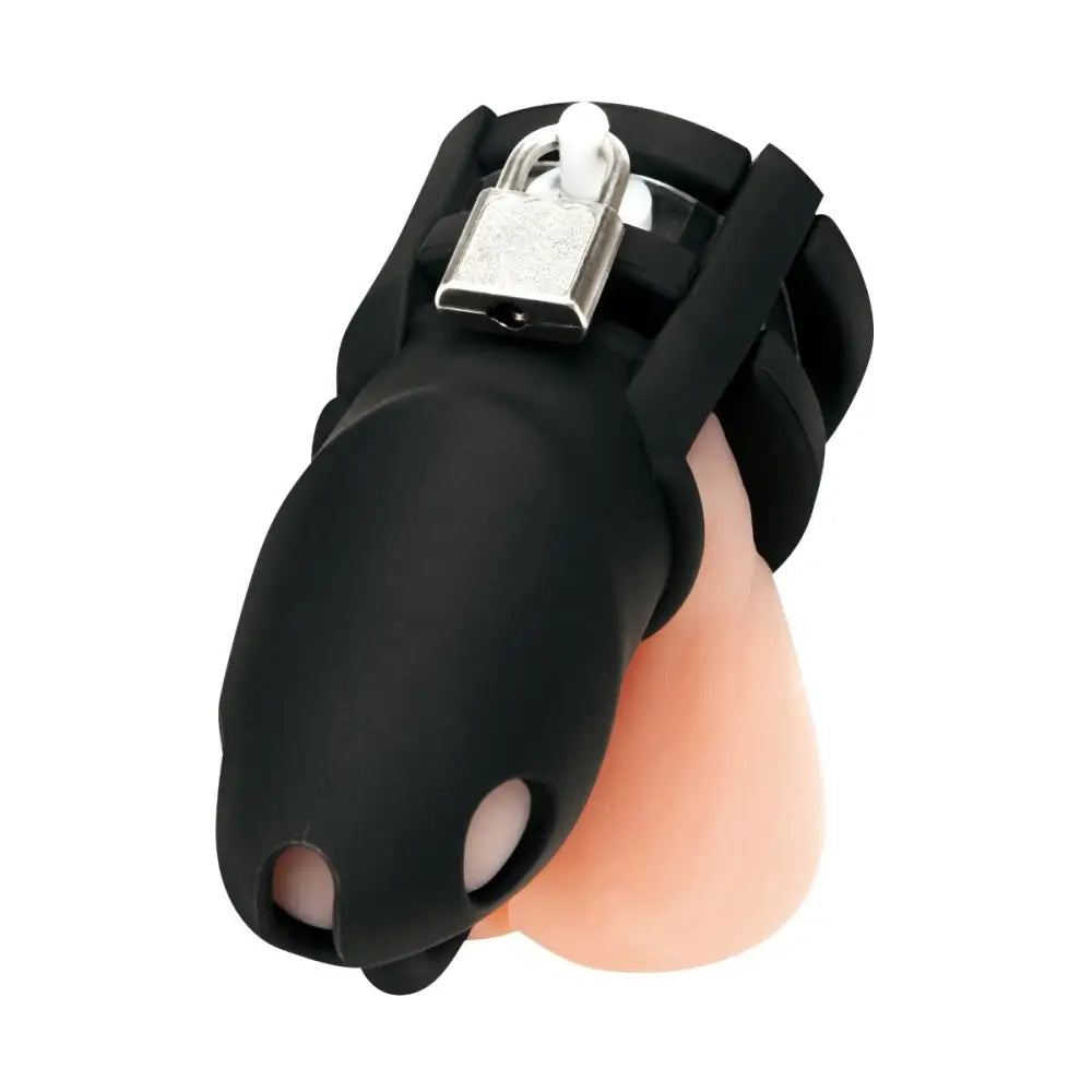 Blueline Silicone Small 2inch Cock Cage with Ball Divider Black - Save 10% - Sale United Kingdom Stoke-on-trent
