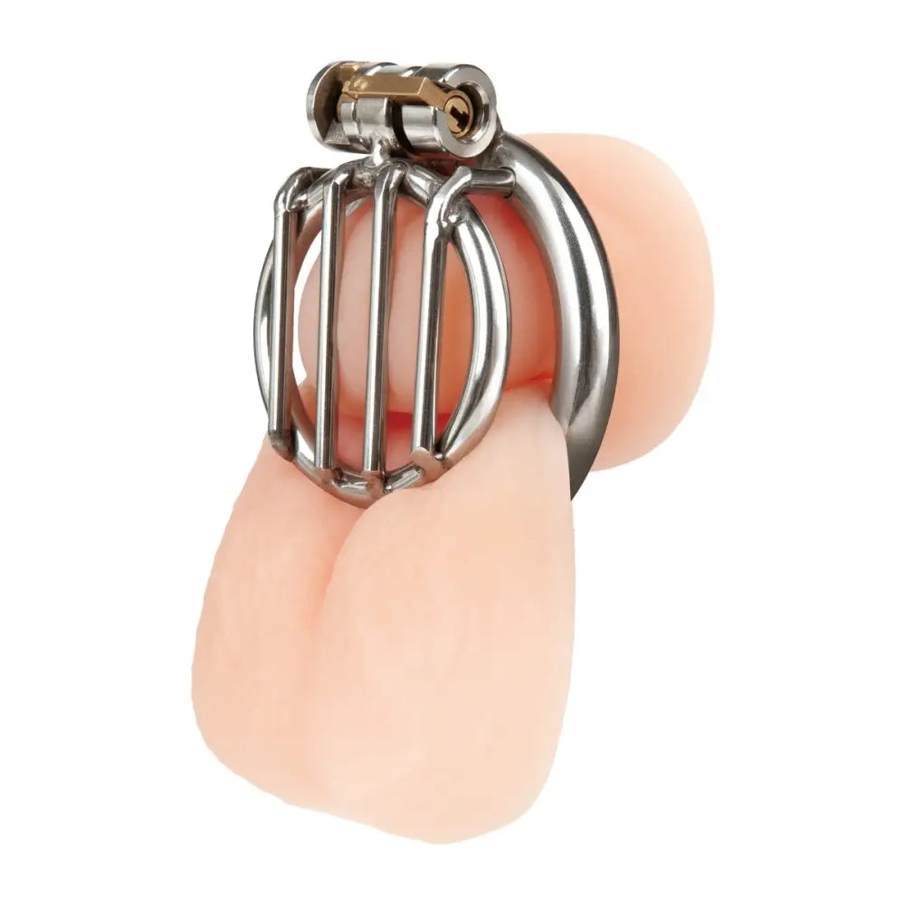 Blueline Stainless Steel Inverted Micro Jail Time Chastity Cage - Save 10% - Sale United Kingdom Stoke-on-trent