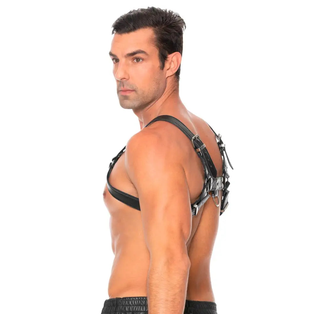 Bulldog Leather Chest Harness - L/xl - L/xl - Fast Shipping - Bondage & Fetish United Kingdom Stoke-on-trent