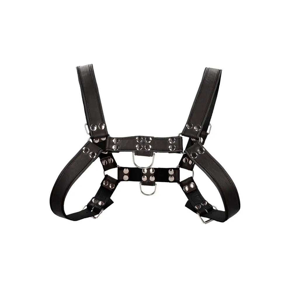 Bulldog Leather Chest Harness - L/xl - L/xl - Fast Shipping - Bondage & Fetish United Kingdom Stoke-on-trent