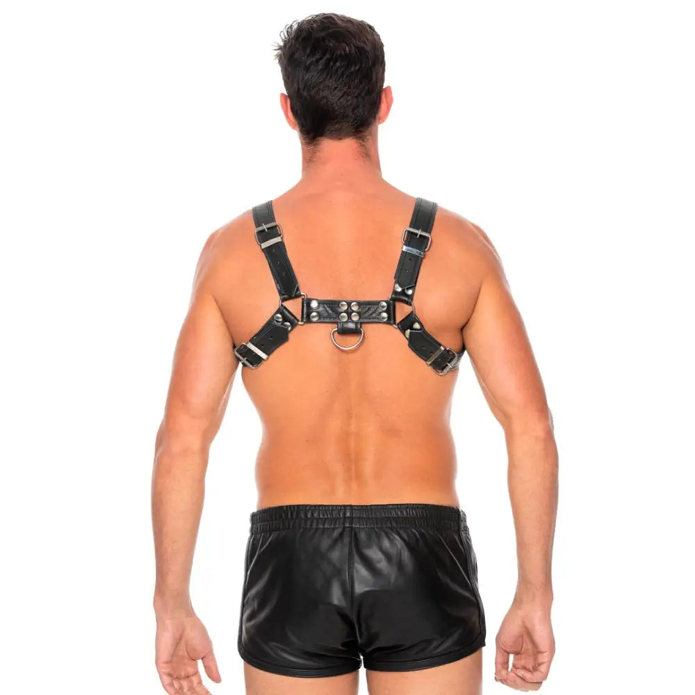 Bulldog Leather Chest Harness - L/xl - L/xl - Fast Shipping - Bondage & Fetish United Kingdom Stoke-on-trent