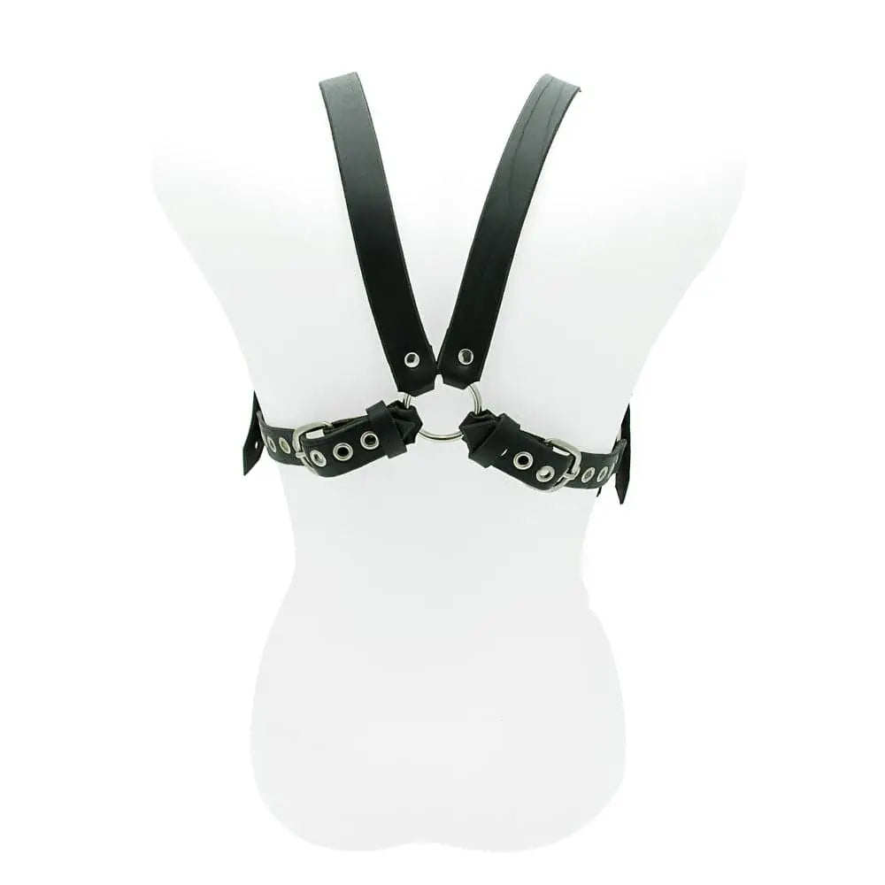 House of Eros 1 Inch Male Harness and Cock Strap - of and - Save 20% - Fast - Sale United Kingdom Stoke-on-trent