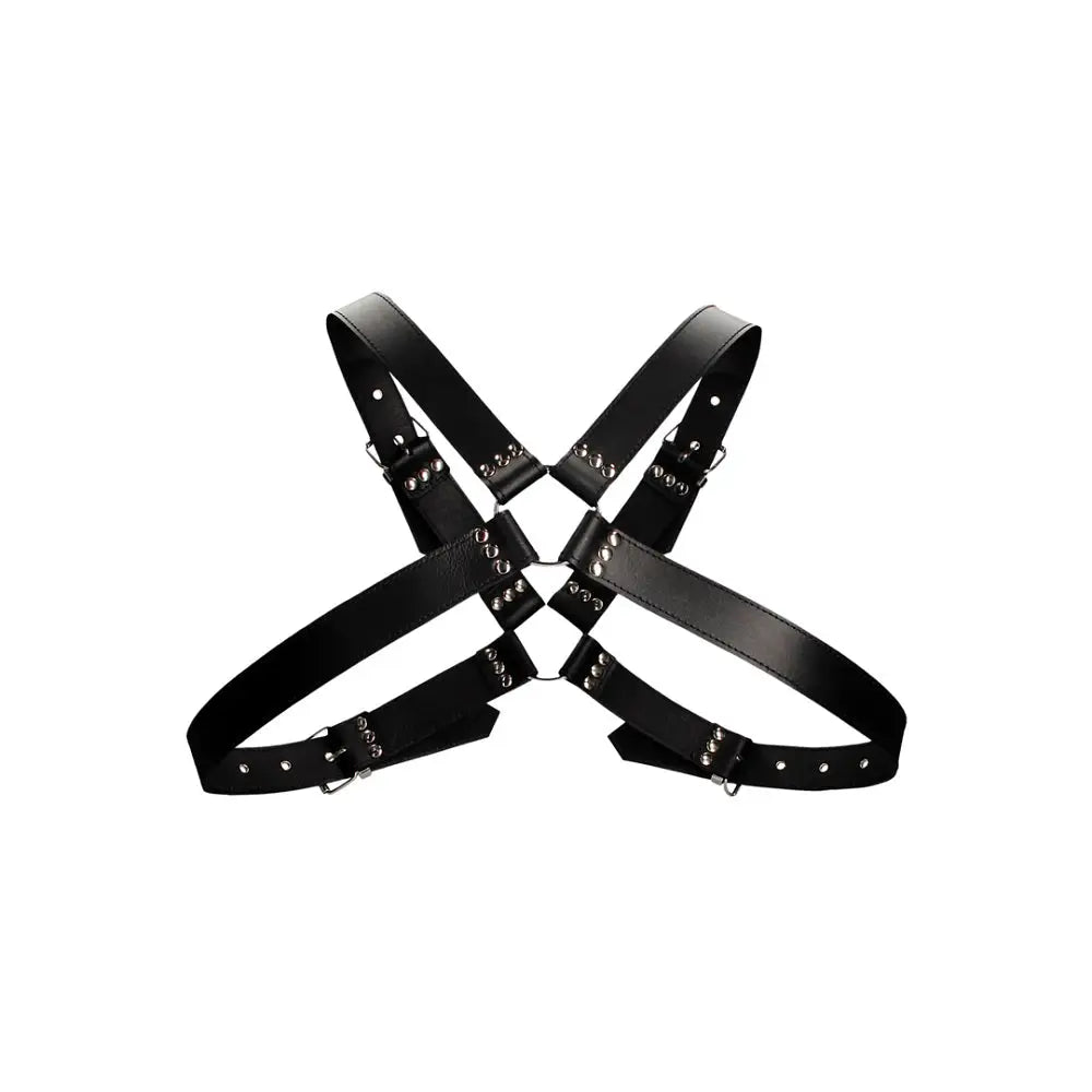 Leather Harness with Large Buckle one Size - one - Fast Shipping - Bondage & Fetish United Kingdom Stoke-on-trent