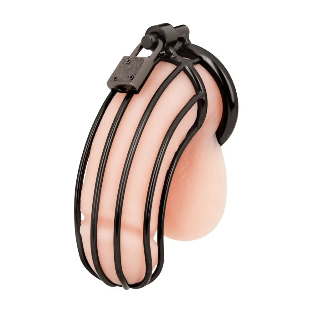 Prisoner Cock Cage - Black - Sex Toys - Save 20% - Prisoner Cock Cage - Black - Fast Shipping - Sale United Kingdom Stoke-on-trent