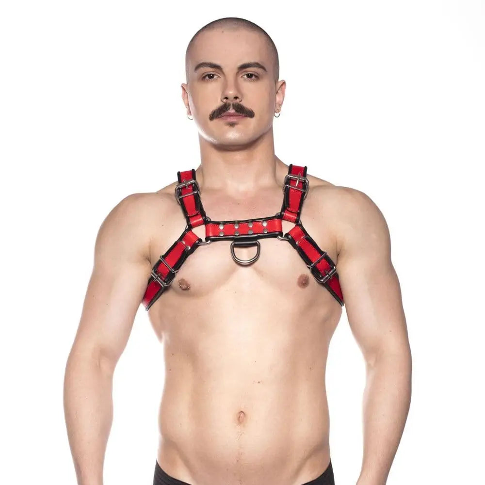 Prowler Red Bull Harness Black/red Small - Save 20% - Red Black/red - Fast Shipping - Sale United Kingdom Stoke-on-trent