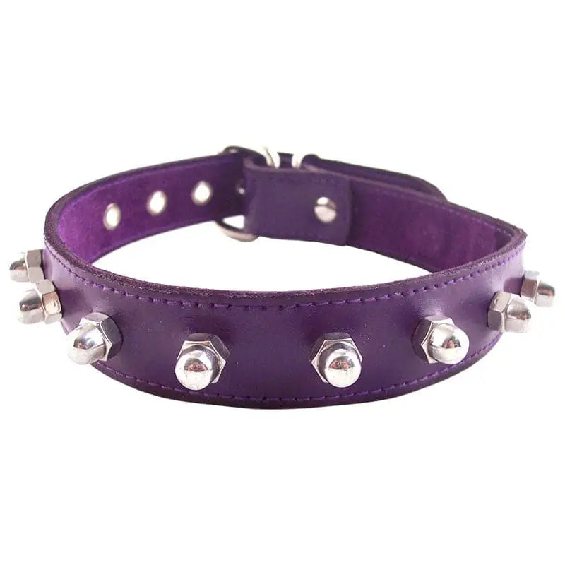 Rouge Garments Purple Nut Collar - Save 20% - Fast Shipping - Sale United Kingdom Stoke-on-trent
