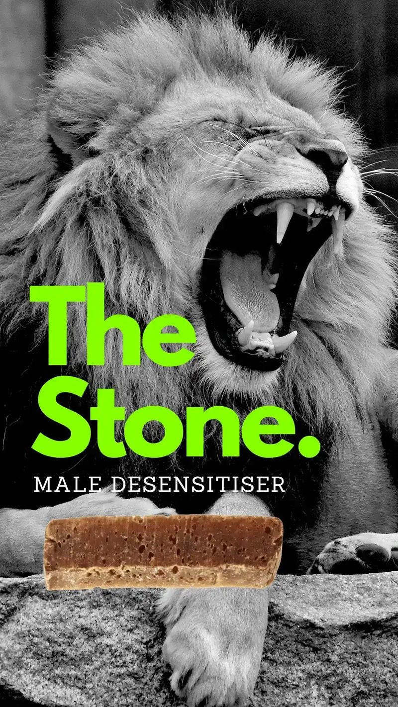 Black‑and‑white close‑up of a roaring lion perched on a rock, with a brown rectangular desensitizer bar (“The Stone”) placed in the foreground; overlaid in bright green text “The Stone.” and smaller white text “Male Desensitiser.”