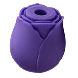 10 Speed Rose Clit Vibrator Clitoral Sucking Air Massager for Women Waterproof - Save 15% - for - United Kingdom Stoke-on-trent