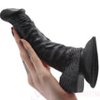 7 Inch Curved Suction Cup Dildo Black - Save 20% - Fast Shipping - Dildos United Kingdom Stoke-on-trent