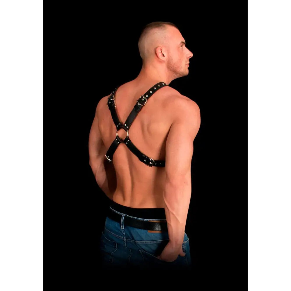 Adonis High Halter Bonded Leather Harness one Size one Fast Shipping Bondage & Fetish United Kingdom Stoke on Trent