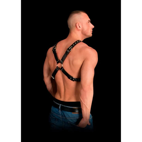 Adonis High Halter Bonded Leather Harness one Size one Fast Shipping Bondage & Fetish United Kingdom Stoke on Trent