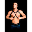 Andres Masterpiece Bonded Leather Harness one Size one Fast Shipping Bondage & Fetish United Kingdom Stoke on Trent
