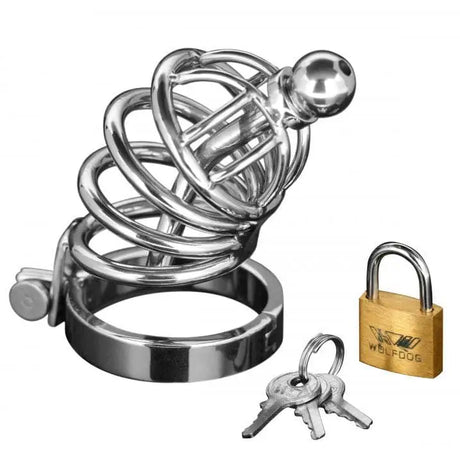 Asylum 4 Ring Locking Chastity Cage - Save 30% - Fast Shipping - Sale United Kingdom Stoke-on-trent