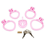 Blueline Bitchboy Degrading Mini Chastity Cage with Pussy Shape - Sale United Kingdom Stoke-on-trent