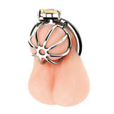 Blueline Little Cock Chastity Cage - Save 10% - Sale United Kingdom Stoke-on-trent