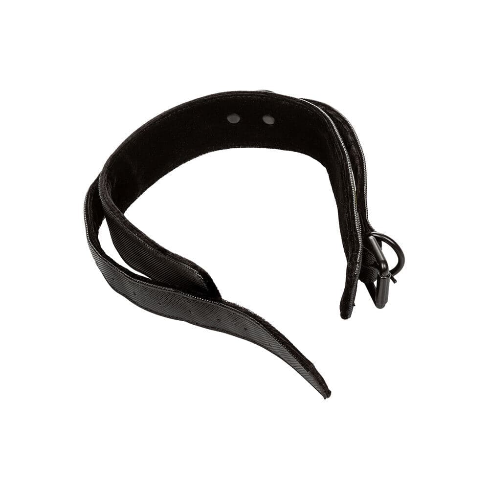 Boundless Collar and Leash - Save 30% - Sale