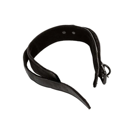 Boundless Collar and Leash - Save 30% - Fast Shipping - Sale United Kingdom Stoke-on-trent