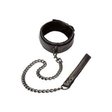 Boundless Collar and Leash - Save 30% - Sale