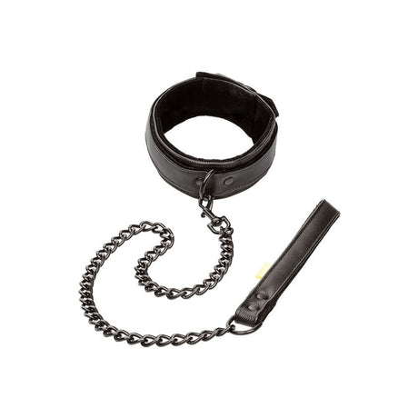 Boundless Collar and Leash - Save 30% - Sale