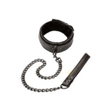 Boundless Collar and Leash - Save 30% - Fast Shipping - Sale United Kingdom Stoke-on-trent