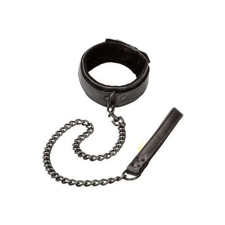 Boundless Collar and Leash - Save 30% - Fast Shipping - Sale United Kingdom Stoke-on-trent