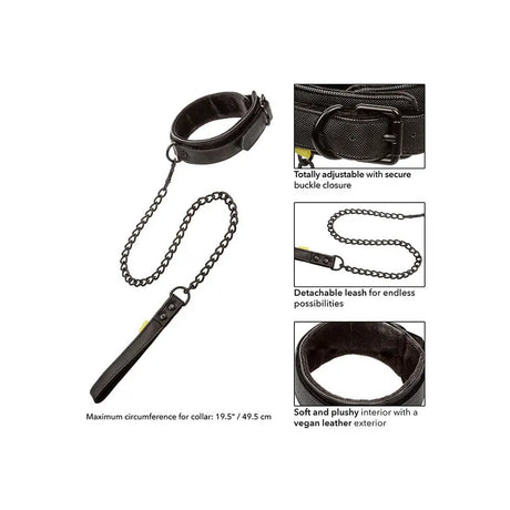 Boundless Collar and Leash - Save 30% - Fast Shipping - Sale United Kingdom Stoke-on-trent