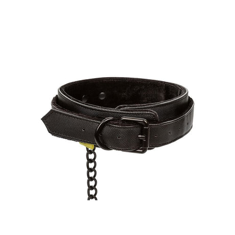 Boundless Collar and Leash - Save 30% - Sale