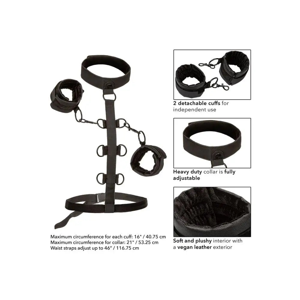 Boundless Collar Body Restraint - Save 30% - Fast Shipping - Sale United Kingdom Stoke-on-trent