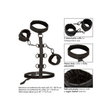 Boundless Collar Body Restraint - Save 30% - Fast Shipping - Sale United Kingdom Stoke-on-trent