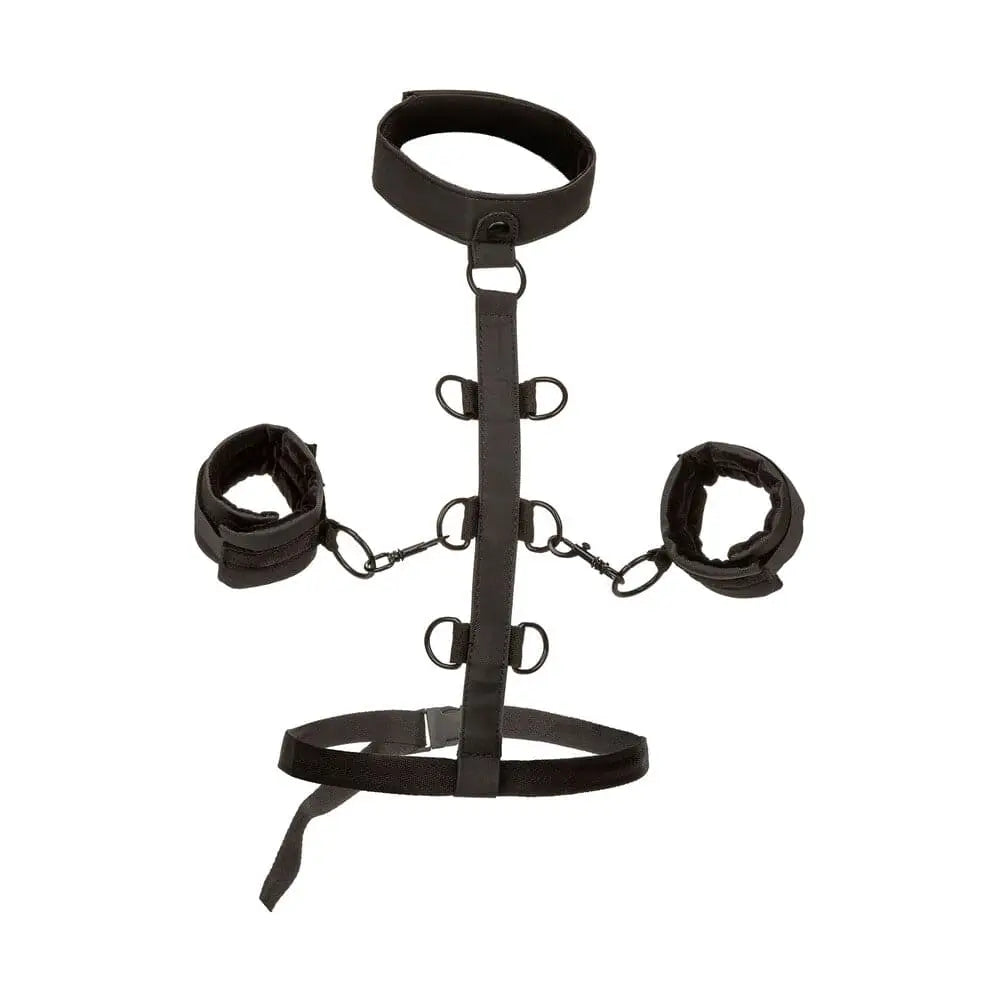 Boundless Collar Body Restraint - Save 30% - Fast Shipping - Sale United Kingdom Stoke-on-trent
