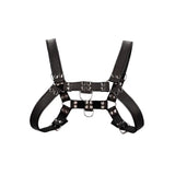 Bulldog Leather Chest Harness S/m S/m Fast Shipping Bondage & Fetish United Kingdom Stoke on Trent