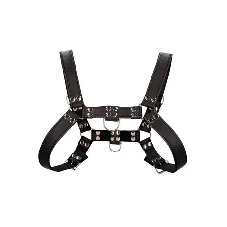 Bulldog Leather Chest Harness S/m S/m Fast Shipping Bondage & Fetish United Kingdom Stoke on Trent