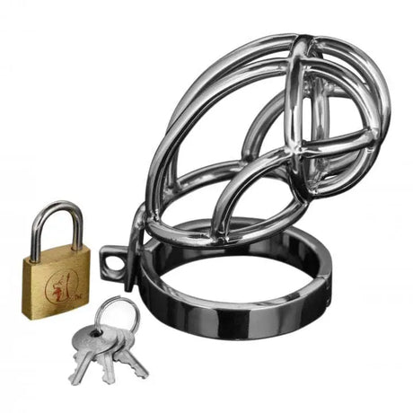 Captus Stainless Steel Locking Chastity Cage - Save 30% - Fast Shipping - Sale United Kingdom Stoke-on-trent