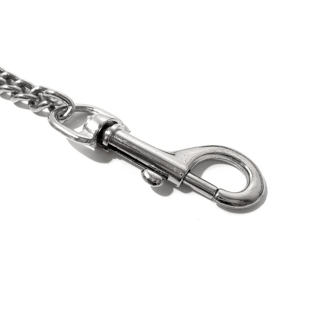 Chain and Leather Fetish Leash