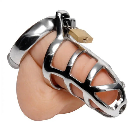 Chastity Cock Cage - Save 30% - Fast Shipping - Sale United Kingdom Stoke-on-trent