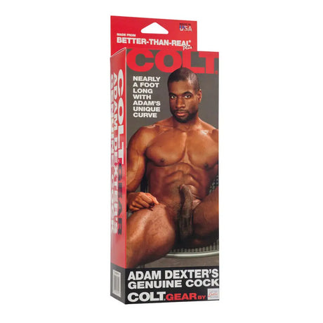 Colt Adam Dexters Realistic Cock Dildo - Save 30% - Colt - Fast Shipping - United Kingdom Stoke-on-trent