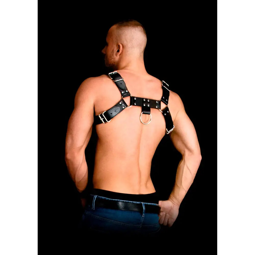 Costas Armor 2 Bonded Leather Harness one Size one Fast Shipping Bondage & Fetish United Kingdom Stoke on Trent