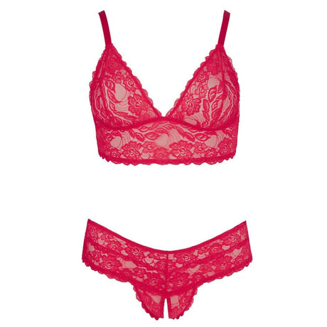 Cottelli Plus Size Red Lace Bra and Briefs - Sale