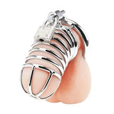 Deluxe Chastity Cage Silver - Sex Toys - Save 25% - Fast Shipping - Sale United Kingdom Stoke-on-trent