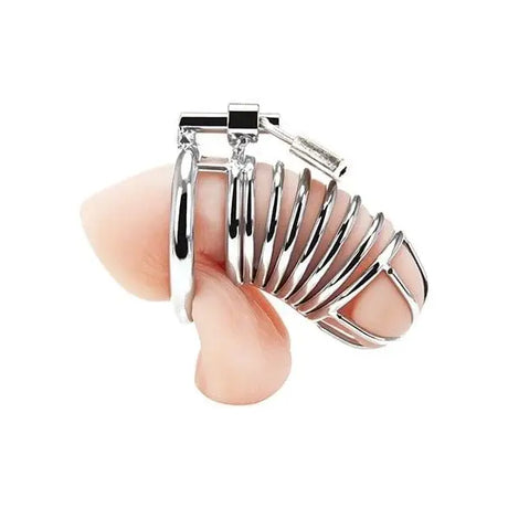 Deluxe Chastity Cage Silver - Sex Toys - Save 25% - Fast Shipping - Sale United Kingdom Stoke-on-trent