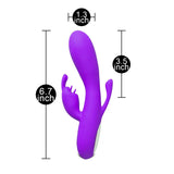Double Bunny 12 Speed Silicone Vibe Purple - Save 15% - Speed - Fast Shipping - Vibrator United Kingdom Stoke-on-trent