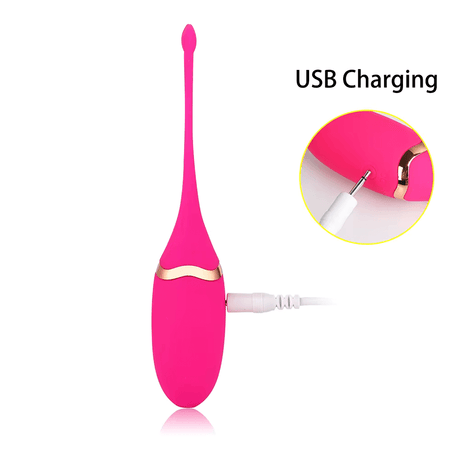 Vibrating Love Egg Vibrator Wireless Remote Control 10 Function Waterproof Dildo
