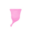 Femintimate Eve Menstrual Cup with Curved Stem Large - Save 25% - Fast Shipping - Sale United Kingdom Stoke-on-trent