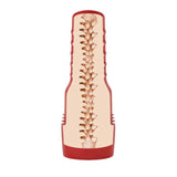 Fleshlight Fantasy Evie Akashiya Sho Akuma - Save 5% - Fast Shipping - Sale United Kingdom Stoke-on-trent