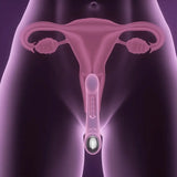 Honey Play Box – Tempo Kinky Finger Tapping G-spot Vibrator (app Controlled Pressure Sensing) - Save 10% - G-spot (app - United Kingdom