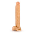 Hung Rider 14 Inch Large Realistic Dildo - Dildos - Save 30% - Fast Shipping - United Kingdom Stoke-on-trent