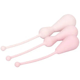 Inspire Weighted Silicone Kegel Training Kit - Save 30% - Fast Shipping - Sale United Kingdom Stoke-on-trent