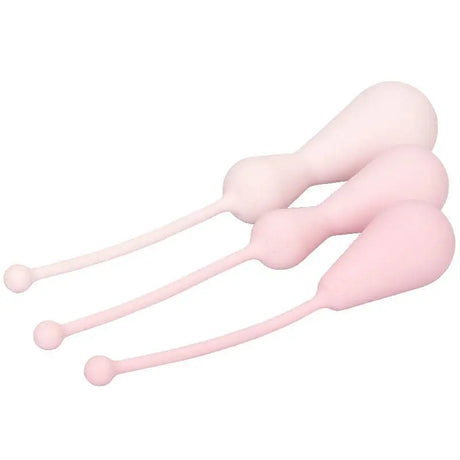 Inspire Weighted Silicone Kegel Training Kit - Save 30% - Fast Shipping - Sale United Kingdom Stoke-on-trent