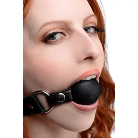 Interchangeable Silicone Ball Gag Set - Sex Toys - Save 25% - Fast Shipping - Sale United Kingdom Stoke-on-trent