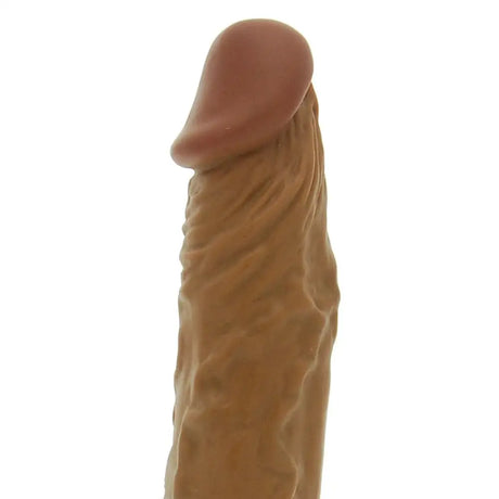 Latin Lover World of Dongs - Save 25% - of - Fast Shipping - Dildo United Kingdom Stoke-on-trent